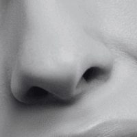 Le Nez