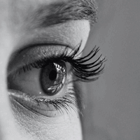 Le Regard