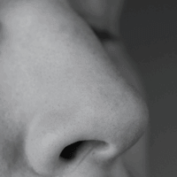 Le Nez
