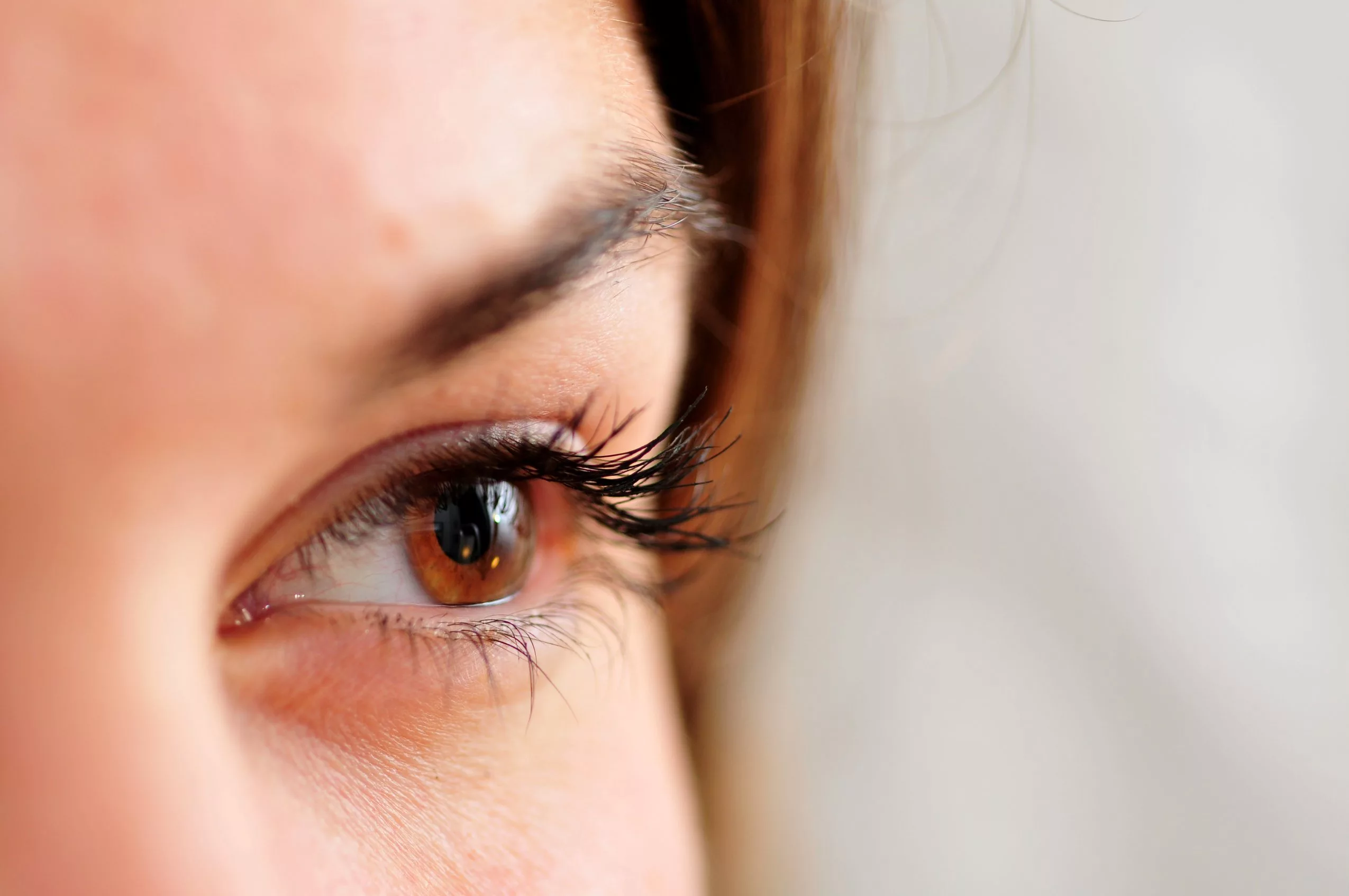 Le Regard