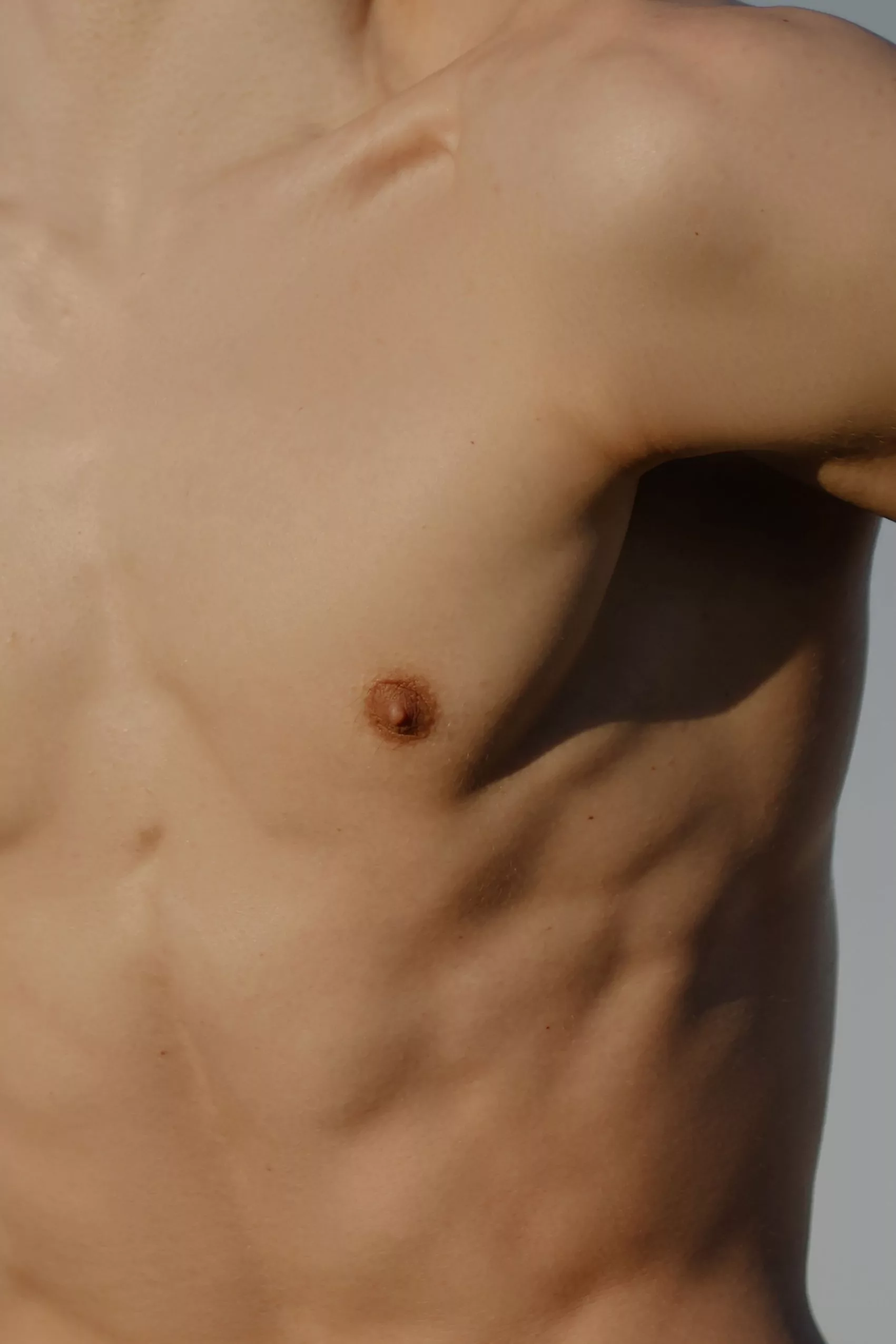 PECTORAUX
